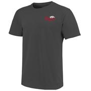 Arkansas Stadium Lights Comfort Colors Tee